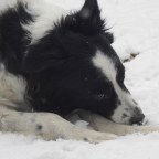 Boy WP is the Craziest Site