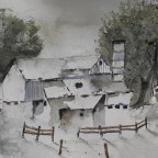 Birdwatching Amidst Health Concerns