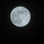 Last Night’s Moon Was Bright