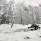 Winter Wonders: Experiencing Snowy Days with a Border Collie