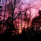 More Reflections at Sunset